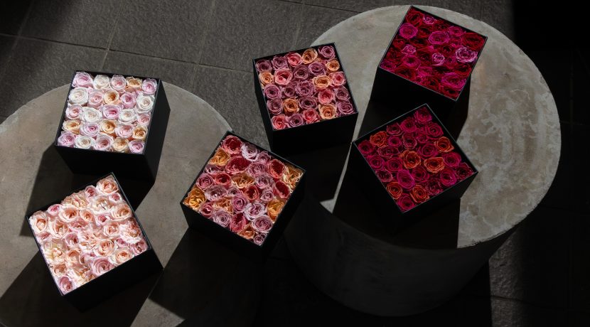 ニコライ バーグマン】「オータム 限定 ローズコレクション 2025」を