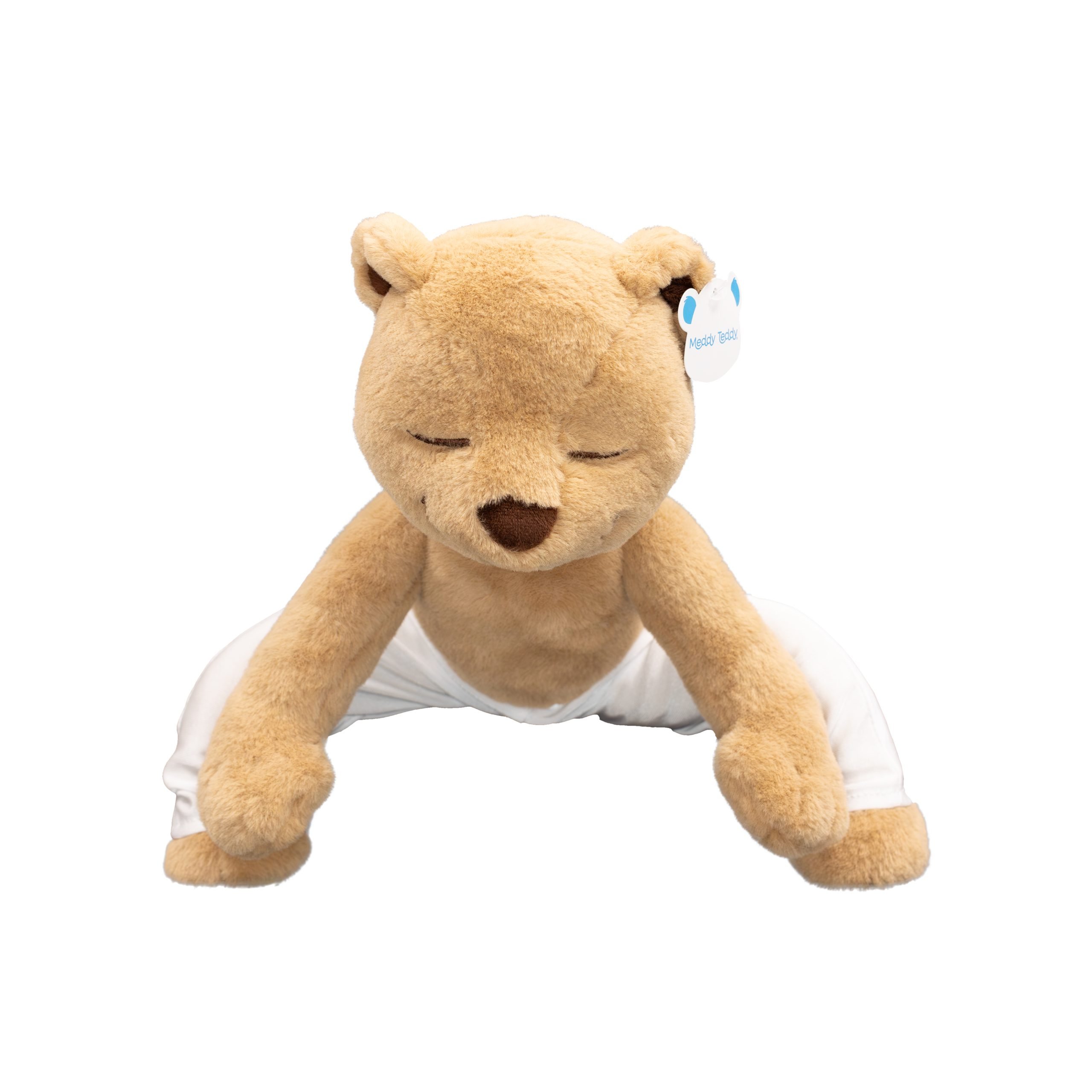 Meddy Teddy Kit | The Discovery Source