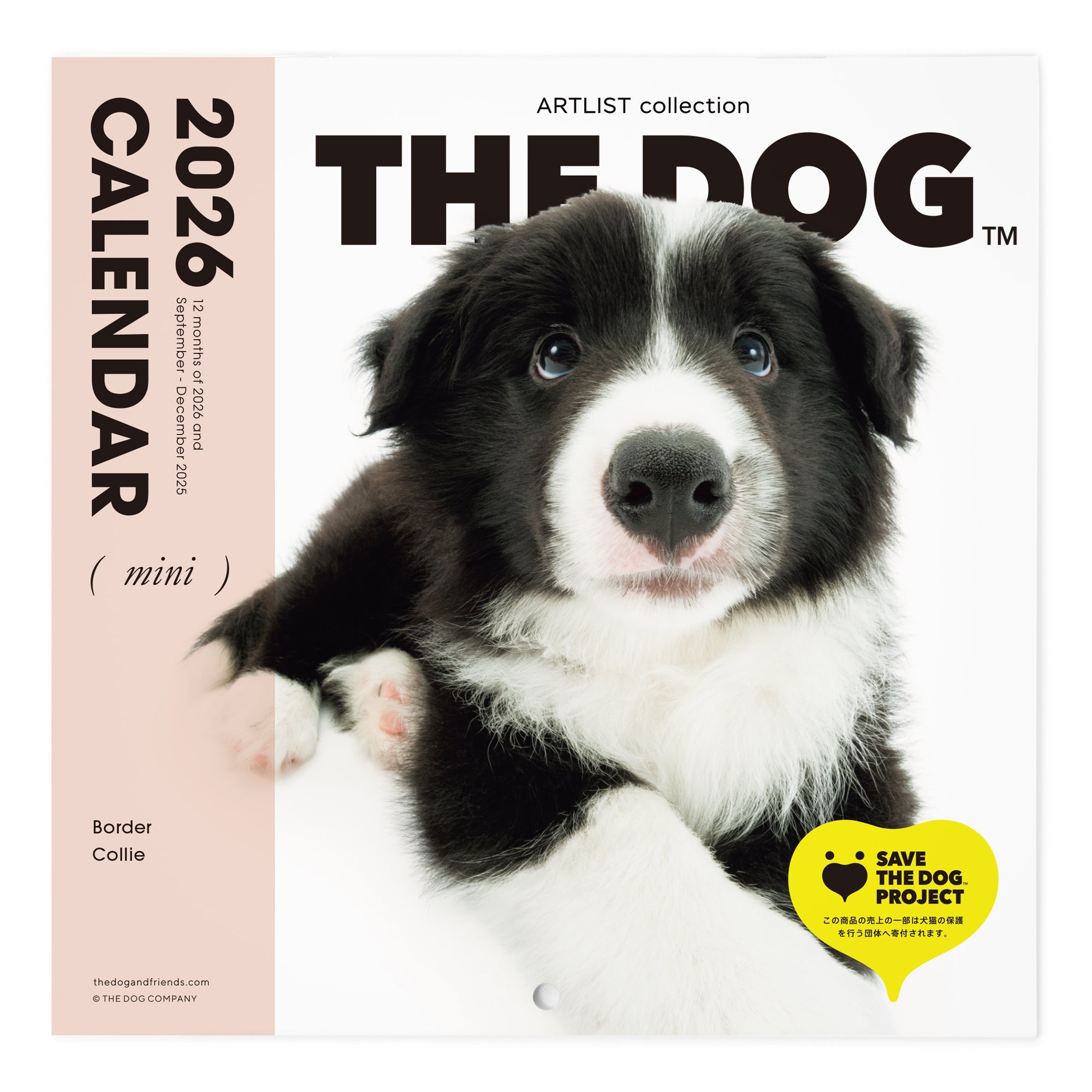 46_m_bch1_539b2c71-b81c-4dc1-