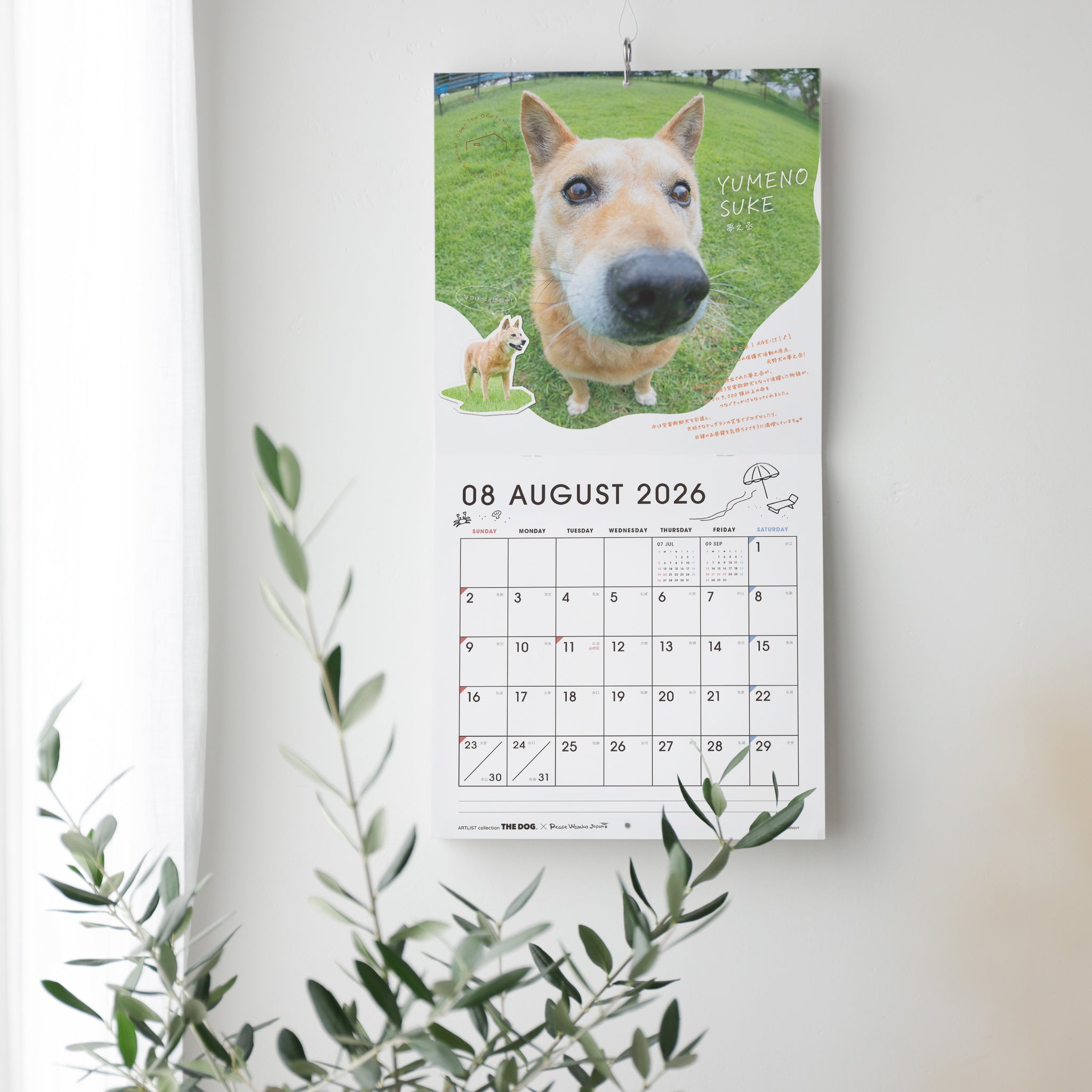 SAVE THE DOG 2026カレンダー【予約：2025年12月下旬より順次発送