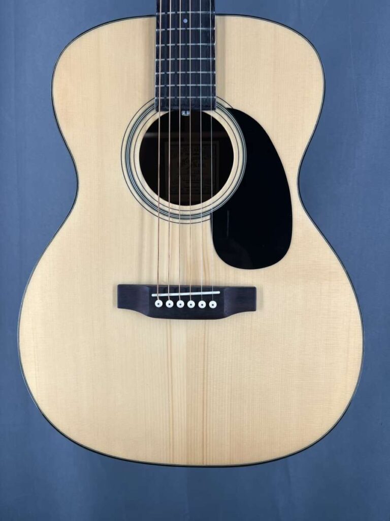 Used Recording King RO-318 Acoustic Guitar / Hard Case - Mandolin