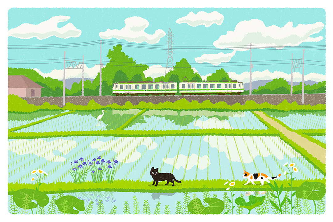 猫と自転車を愛する摂田屋在住のイラストレーター「もり としのり