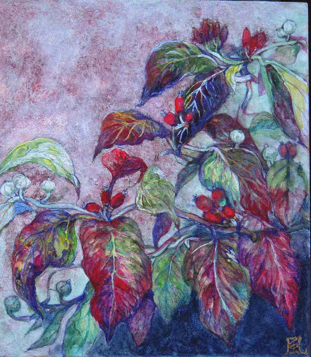 ハナミズキの春夏秋冬・秋 | 風ノ水郷（かぜのみさと） ｜インテリア