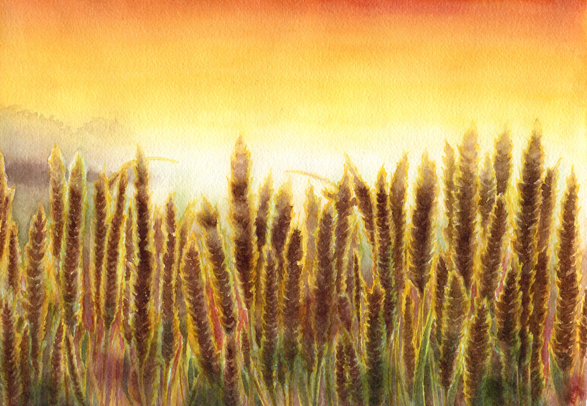 夕方の麦畑 | Yukari.Tanemura ｜インテリア絵画 アートの専門通販