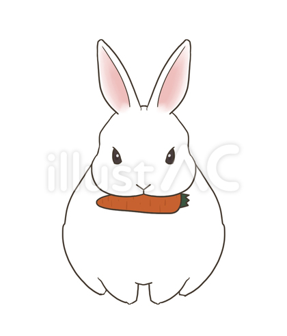 a4985250a483341260b516e8dad01b