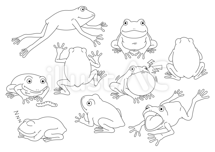 カエル セット 線画 背景透過イラスト - No: 22757043｜無料イラスト
