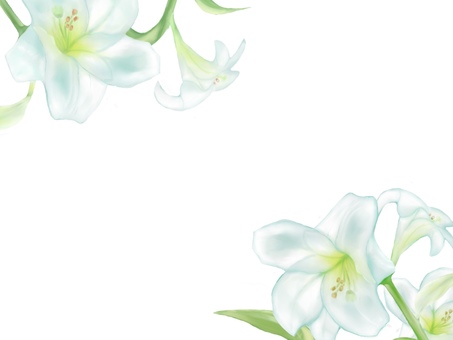 ユリの花 フレームイラストイラスト - No: 2569130｜無料イラスト