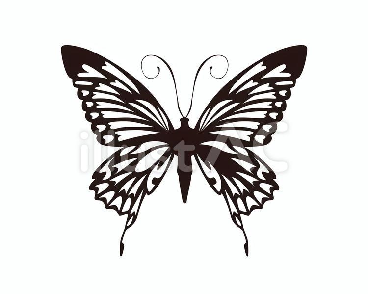 生き物イラスト～アゲハ蝶イラスト - No: 22437001｜無料イラスト