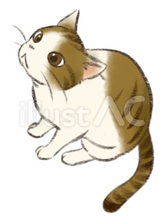 猫① 見上げるイラスト - No: 2066147｜無料イラスト・フリー素材なら