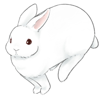 すまし顔の白うさぎに似ているイラスト素材｜無料イラスト・フリー素材