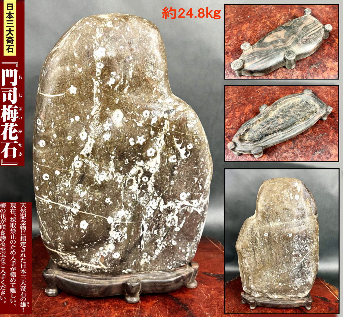 楽天市場】梅花石の通販