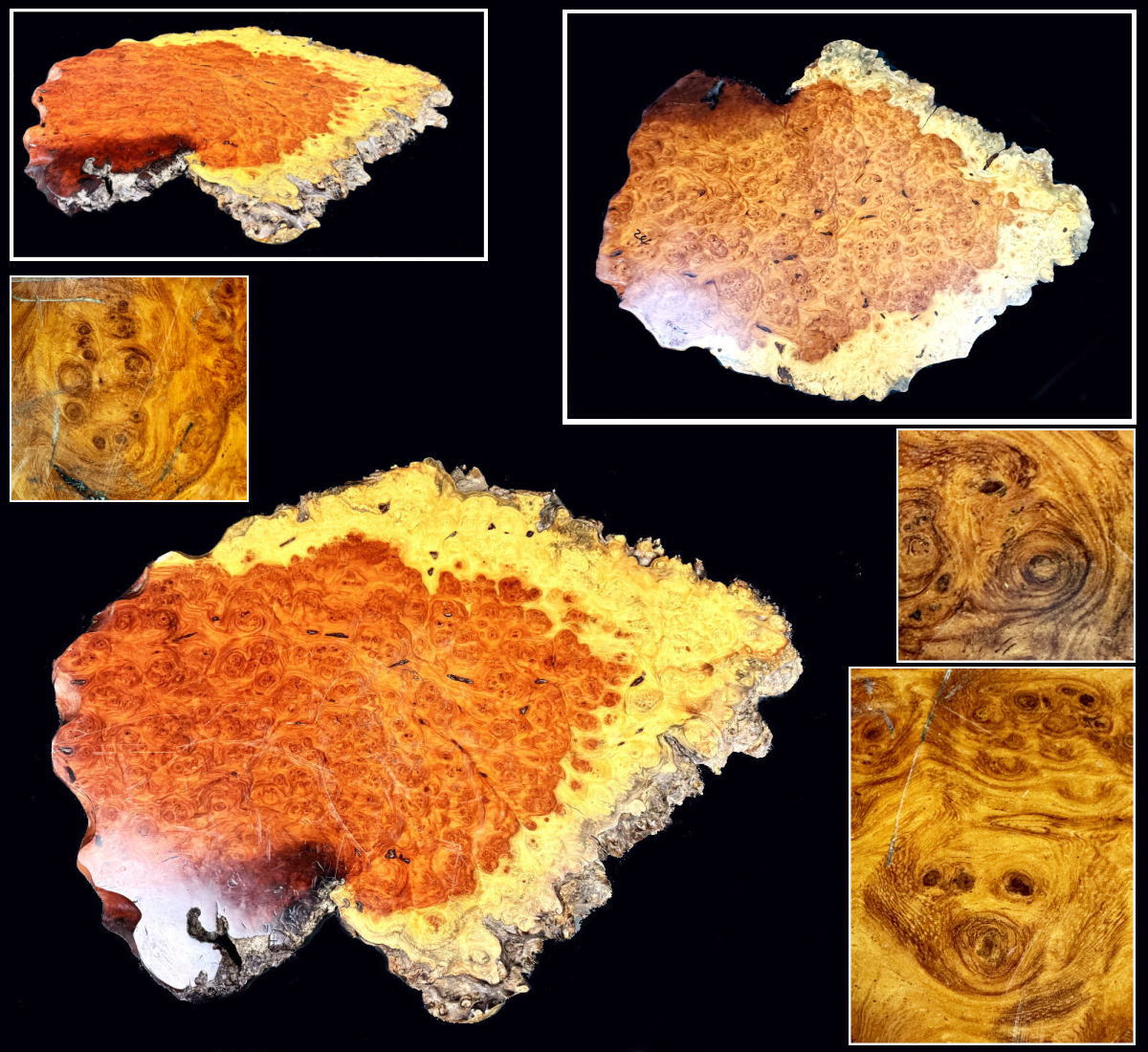 中国 剔紅 堆朱 堆黒 内七宝 花文 蓋物 M R6751 中国剔紅堆朱堆黒内