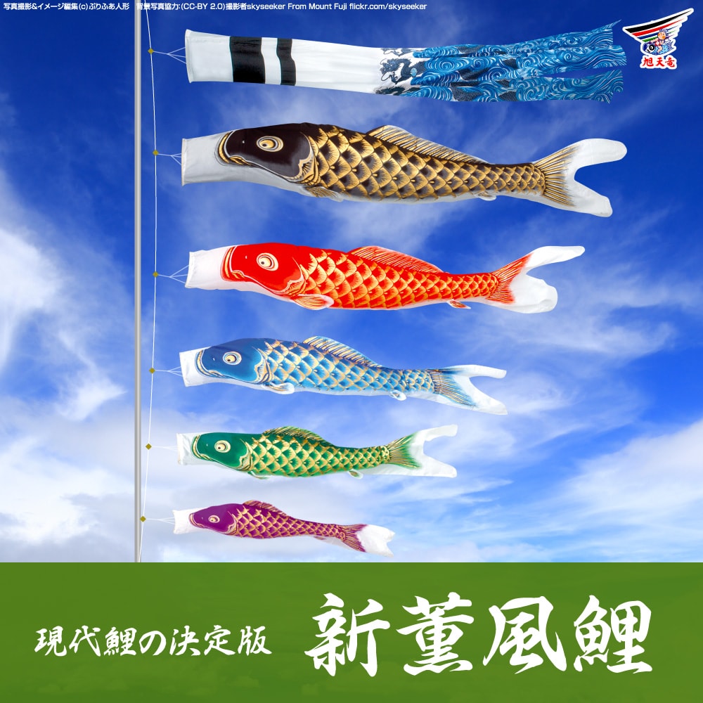 鯉のぼり 旭天竜 翔勇鯉 | prefer