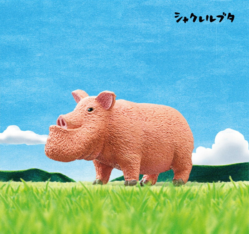 楽天市場】シャクレルプラネット セットの通販