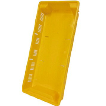 楽天市場】いちごコンテナの通販