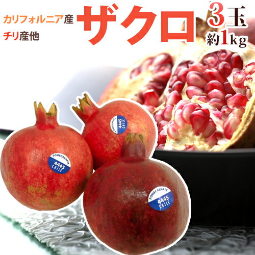 楽天市場】業務用（ザクロ｜フルーツ・果物）：食品の通販