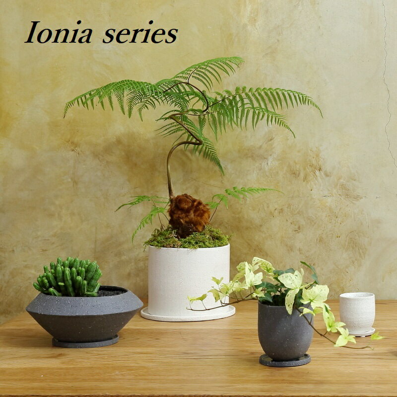 楽天市場】鉢 円柱 白（植木鉢・プランター｜ガーデニング・農業）：花