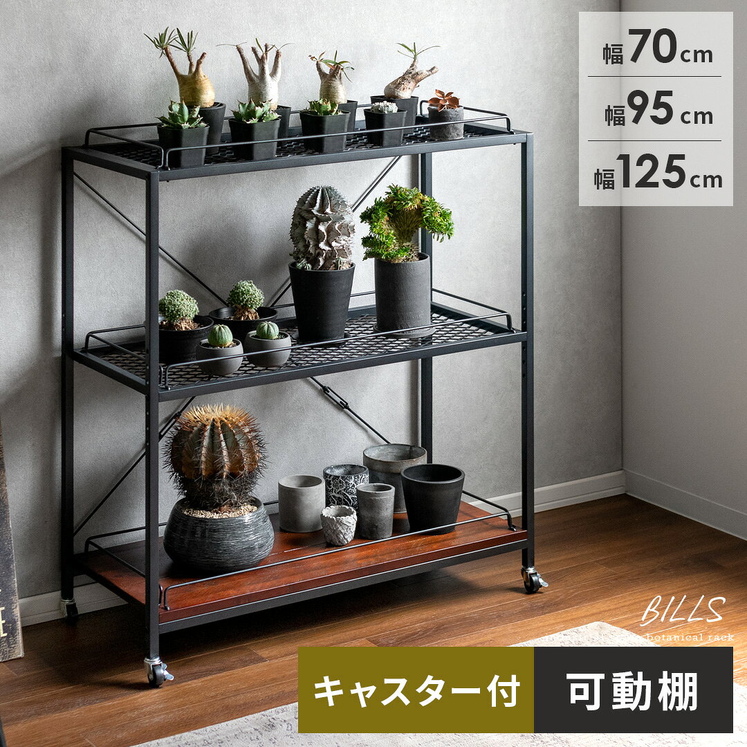 楽天市場】ボタニカル シェルフの通販