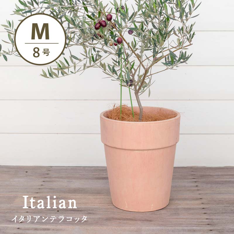 楽天市場】植木鉢 8号 イタリアンテラコッタの通販