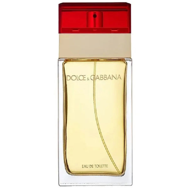 楽天市場】プールファム ドルガバの通販