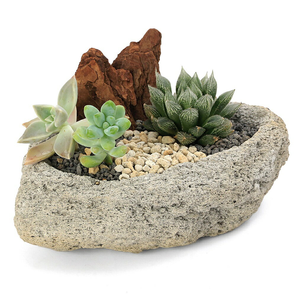 楽天市場】石 寄せ植えの通販