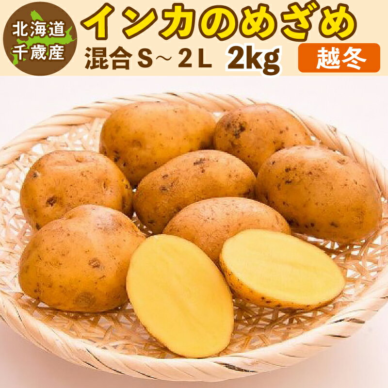 楽天市場】インカのめざめ 種芋（食品）の通販