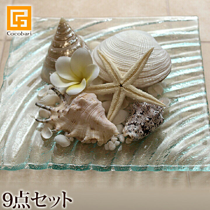 楽天市場】ハワイ インテリア 貝殻の通販