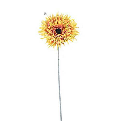 楽天市場】ガーベラ（植物の本数6本）の通販