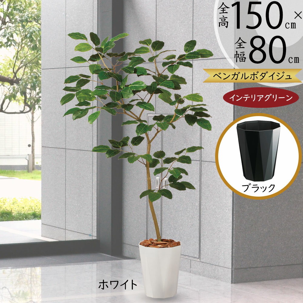 楽天市場】フェイクグリーン（種類（植物）ベンガルボダイジュ）の通販