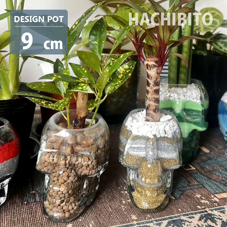 楽天市場】スカル（植木鉢・プランター｜ガーデニング・農業）：花