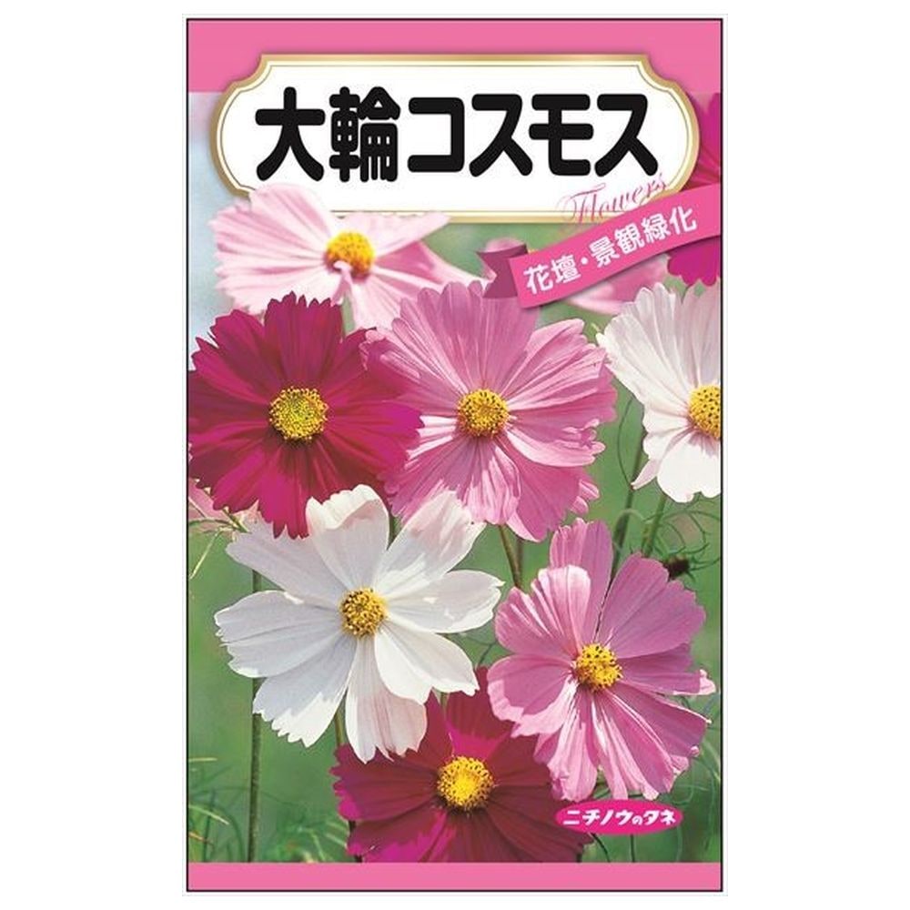 楽天市場】宿根コスモスの通販