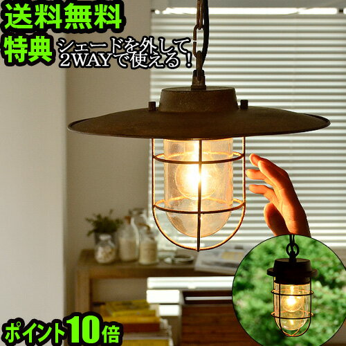 楽天市場】ハモサ サンディッシュの通販