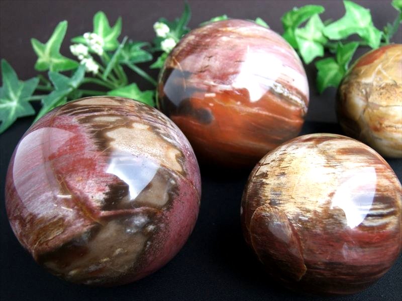 楽天市場】ペトリファイドウッド（天然石（原石）｜パワーストーン