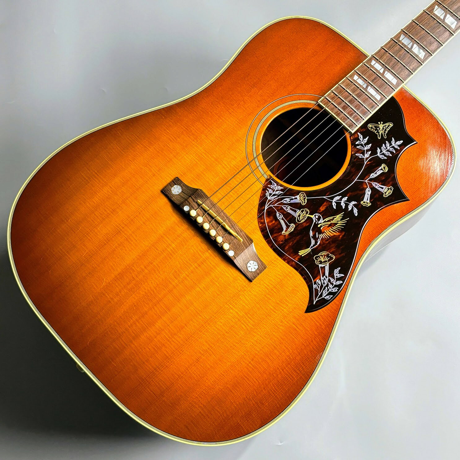 楽天市場】ハードケース ハミングバードの通販