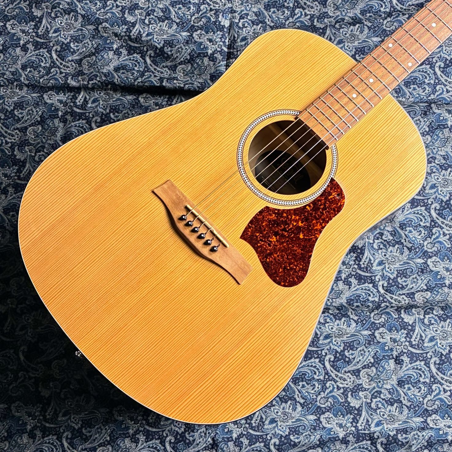 楽天市場】seagull s6（アコースティックギター｜ギター）：ギター