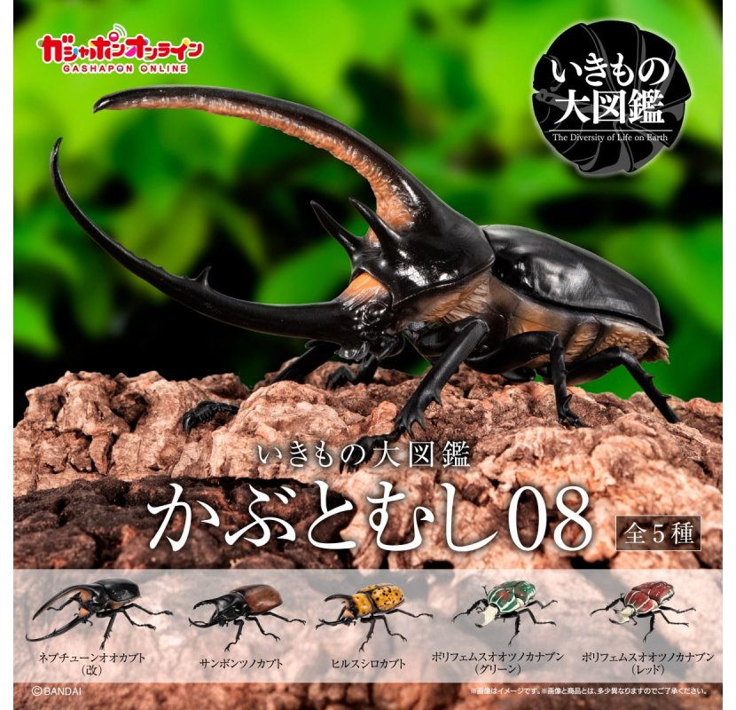 楽天市場】いきもの大図鑑 かぶとむし（コレクション｜ホビー）の通販
