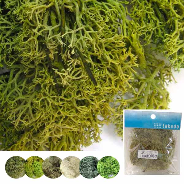 楽天市場】ジオラマ 樹木（情景｜建築物・情景）：プラモデル・模型