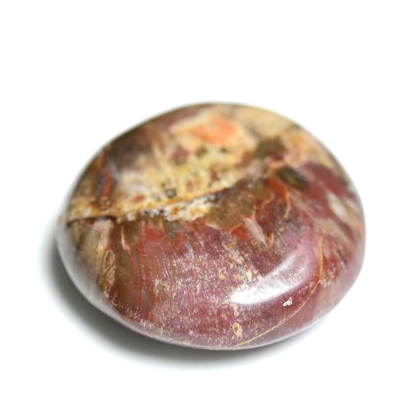 楽天市場】珪化木化石の通販