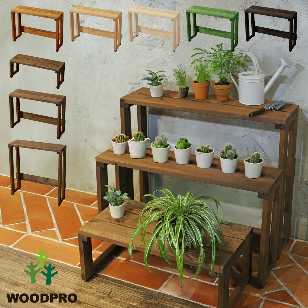 楽天市場】多肉植物 棚の通販