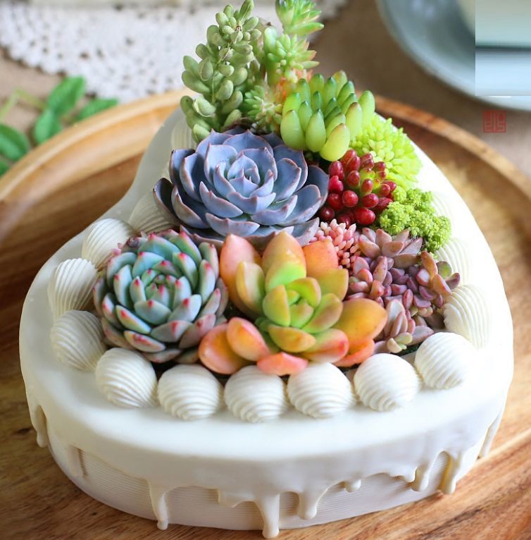 楽天市場】ハート型（植木鉢｜植木鉢・プランター）：ガーデニング