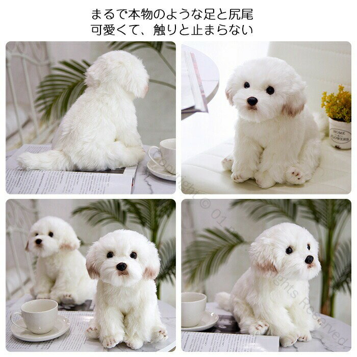 楽天市場】マルチーズ ぬいぐるみ（おもちゃ）の通販