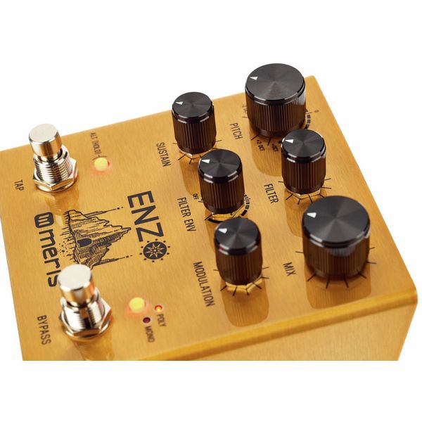 Meris Enzo Multi-Voice Synthesizer – United States
