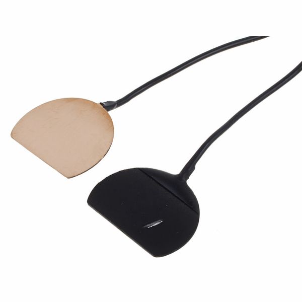 Fishman BP-100-B-Pickup – United States