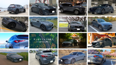 poly-samneil2-375x211.png?v=