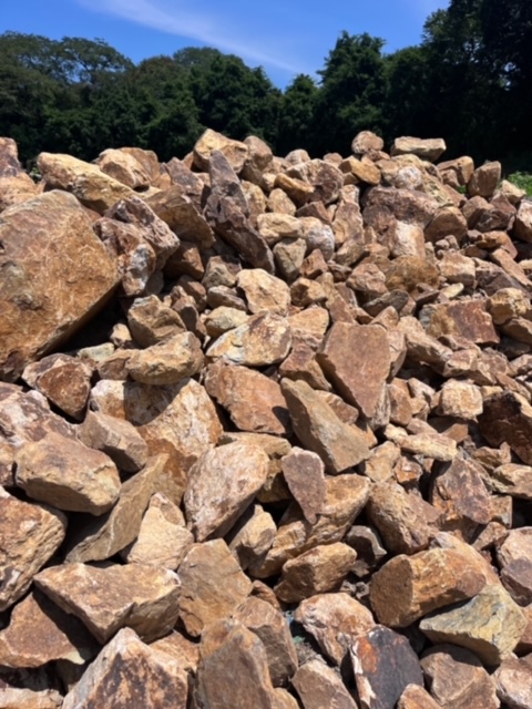 茨城県ヤシの木販売 ｜ トーワリゾート 茨城県ヤシの木販売 ｜ トーワ