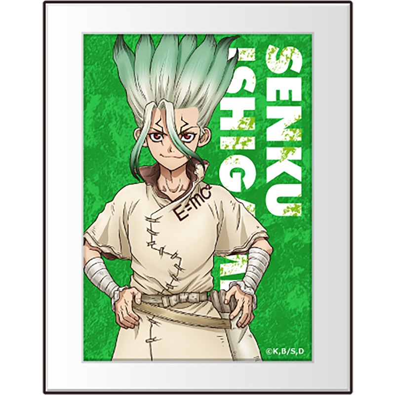 公式オンラインストアDr.STONE ブロマイド風アクリルフレーム