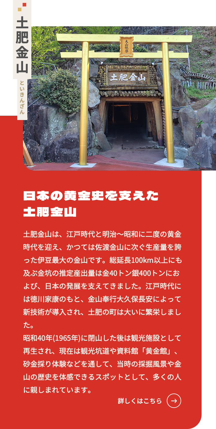 西伊豆 土肥金山 | 家族で楽しめる金のテーマパーク