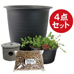 冬のオススメ資材！｜株式会社 杜若園芸