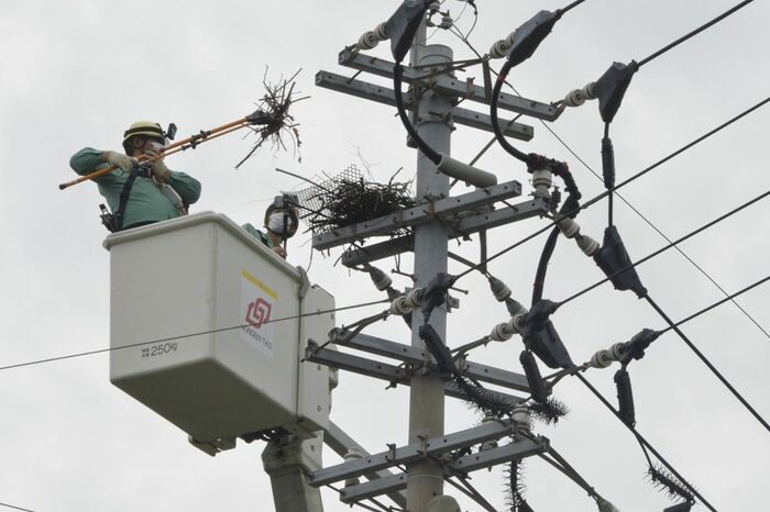 停電の原因は？ 対策にクロウしています・・・｜徳島の話題,暮らし