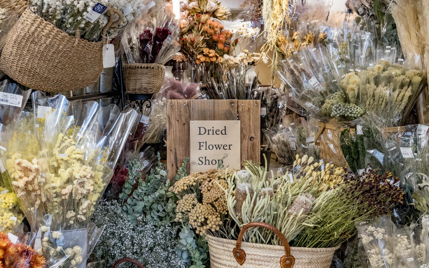 Tida Flower 表参道店 | ドライフラワー花屋 – ドライフラワーと